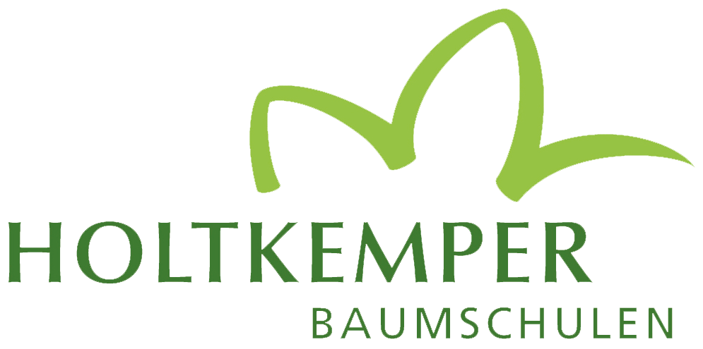 Holtkemper Logo